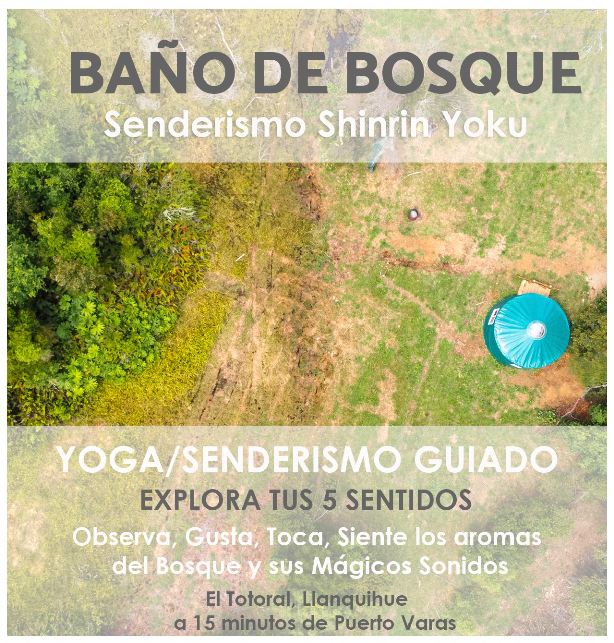 Baño de Bosque